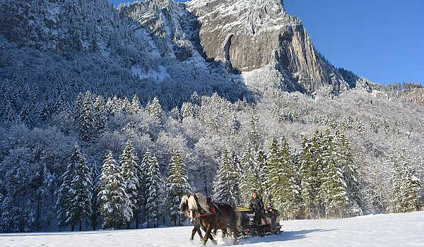 Winterreis naar Au in Oostenrijk paard en wagen winter